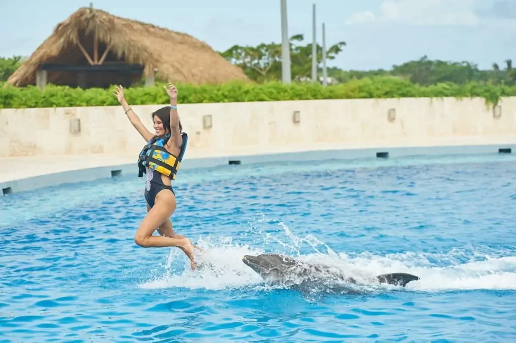 All you need to know about the Dolphin Discovery Punta Cana