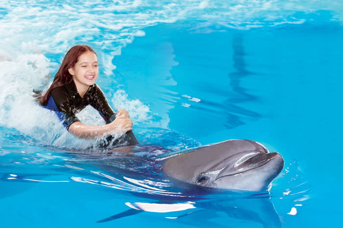 Can people enjoy swimming with dolphins in Dolphinaris?